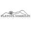 platoulsoarelui.ro