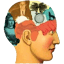 scottlilienfeld.com