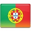 torntuga.com