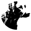 blackdoghomes.com