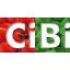 cibiexpo.it