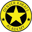 denverkarateonline.com
