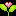 flowercity.kh.ua