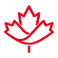 leone.ca