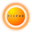 recruo.com