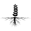 rootedrecruitment.co.za