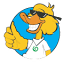 rotoruaducktours.co.nz
