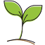 ruralsprout.com