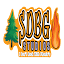 sdbgstudios.com