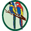 sobaybirdsoc.com