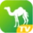 camel1.to