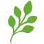 greenspringwealth.com