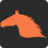 horsejunkiesunited.com