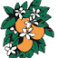 orangeblossomhillscountryclub.com