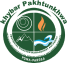 pdma.gov.pk