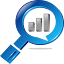 seo-***yse.com