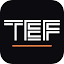 tefglobalmarkets.com