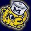 umgoblue.com