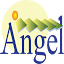angel-foam.com