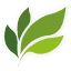 centromenteverde.com