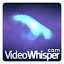 demo.videowhisper.com