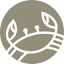 dornum.de