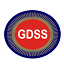 gautamdetective.com