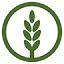 neolife.com