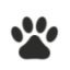 oceansidevet.net