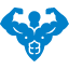 steroidemusculation.com