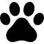 unioneamicidelcaneedelgatto.it