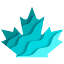 ycdimmigration.com