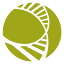 acmgfoundation.org