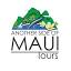 anothersideofmauitours.com