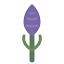 lavenderfestival.com