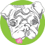 mimigreen.com