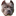 mrpitbull.com