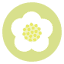 suntheanine.com