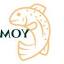 yomanmasa.co.il