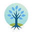 begincounselingtoday.com