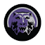 bringonthecats.com