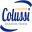 colussigroup.it