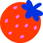 crowdedteeth.com