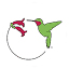 hummingbirdsociety.org