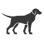 hundesportladen.de