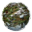 ryzom.com