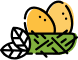 saitents.com