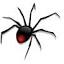 spiderchoice.com