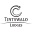 tintswalo.com