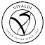 vivaldisalonsuites.com